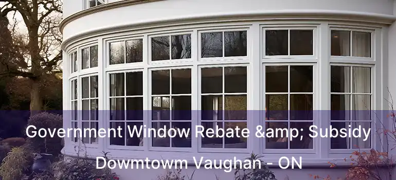  Government Window Rebate & Subsidy Dowmtowm Vaughan - ON