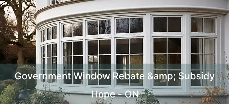  Government Window Rebate & Subsidy Hope - ON