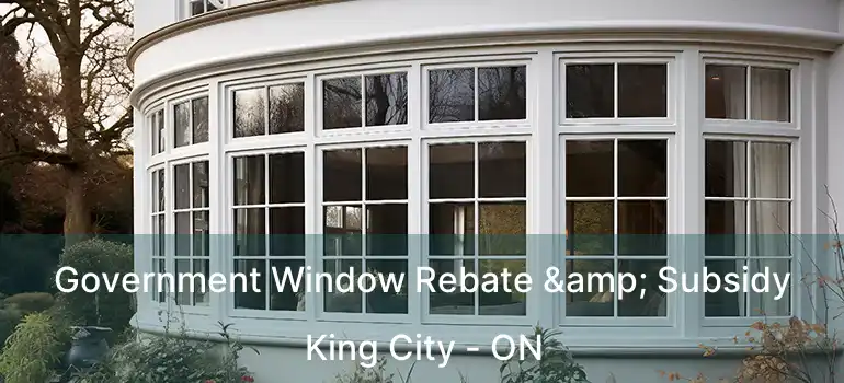  Government Window Rebate & Subsidy King City - ON