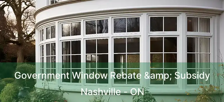  Government Window Rebate & Subsidy Nashville - ON