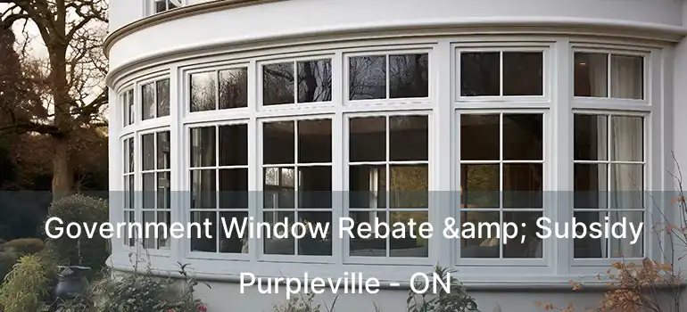  Government Window Rebate & Subsidy Purpleville - ON