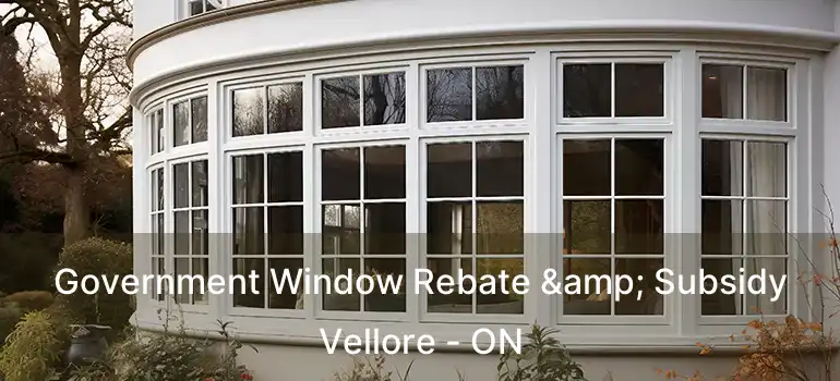  Government Window Rebate & Subsidy Vellore - ON