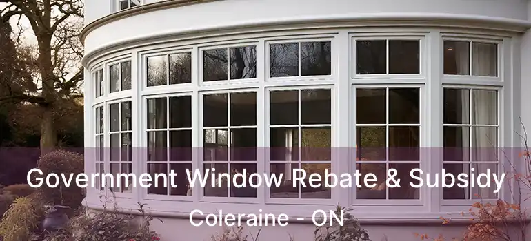  Government Window Rebate & Subsidy Coleraine - ON