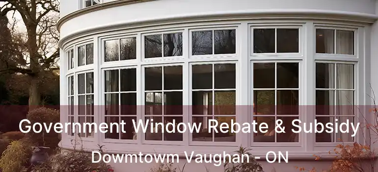  Government Window Rebate & Subsidy Dowmtowm Vaughan - ON