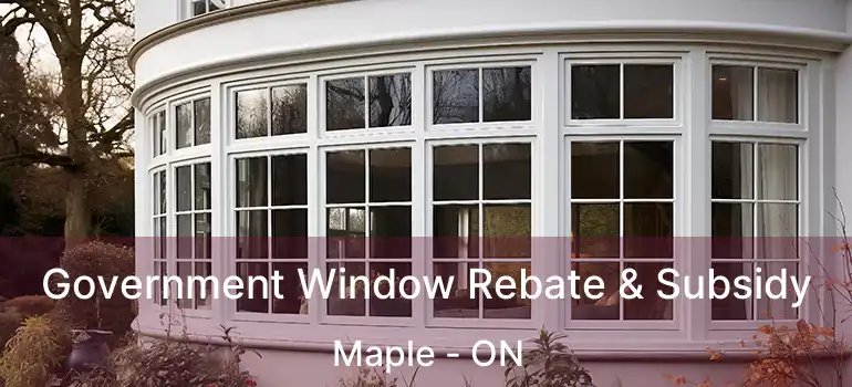  Government Window Rebate & Subsidy Maple - ON
