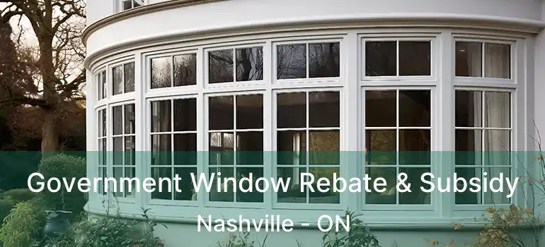  Government Window Rebate & Subsidy Nashville - ON