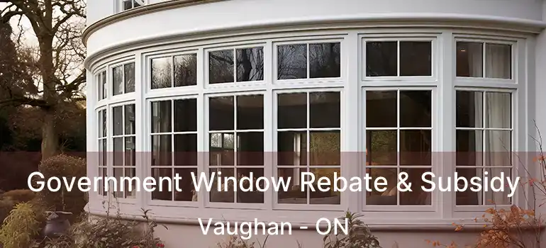  Government Window Rebate & Subsidy Vaughan - ON