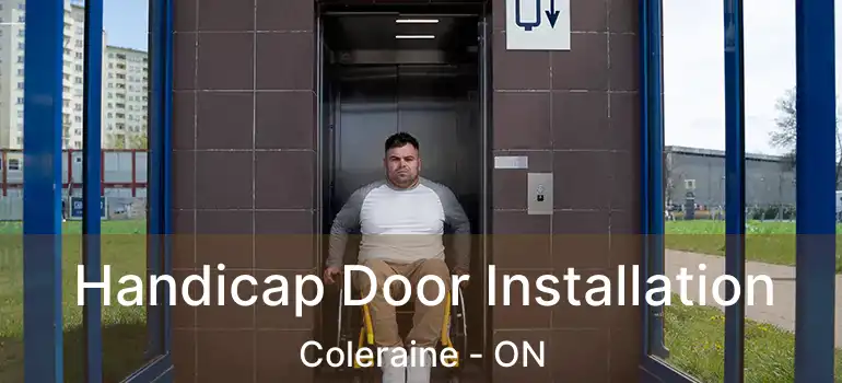  Handicap Door Installation Coleraine - ON