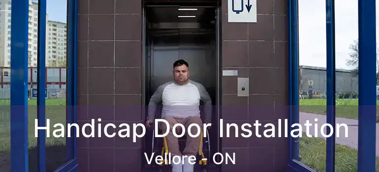  Handicap Door Installation Vellore - ON
