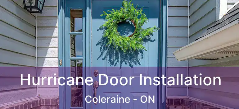  Hurricane Door Installation Coleraine - ON