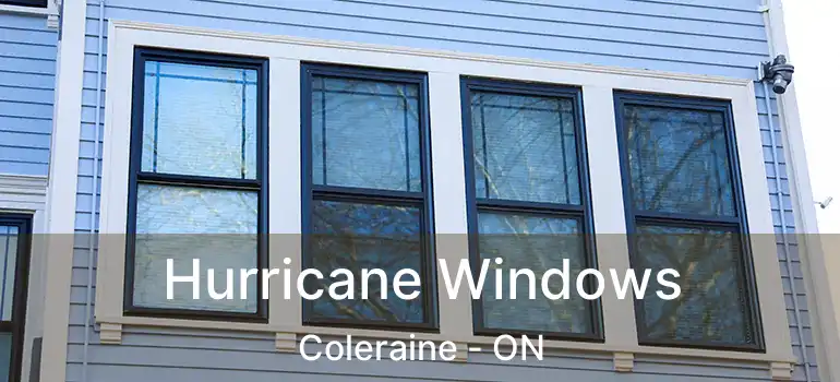  Hurricane Windows Coleraine - ON