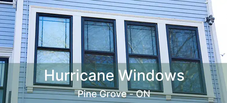  Hurricane Windows Pine Grove - ON