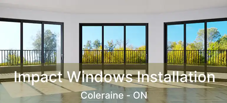  Impact Windows Installation Coleraine - ON