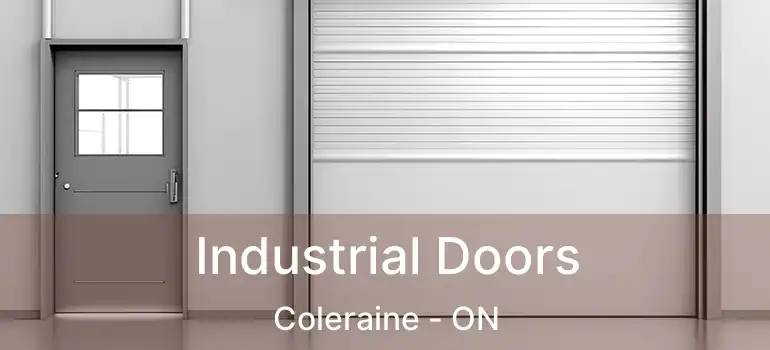  Industrial Doors Coleraine - ON