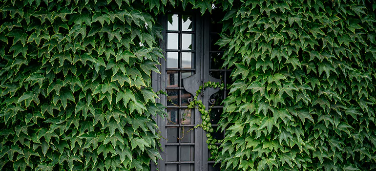 Garden Gate Repair in Vaughan, ON