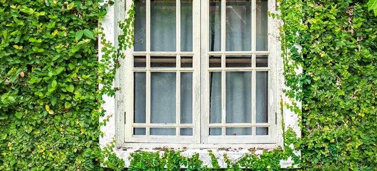arden Window Repair Near Me in Vaughan, ON