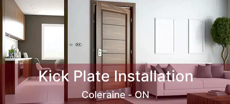  Kick Plate Installation Coleraine - ON