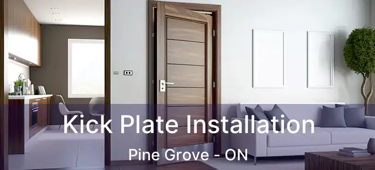  Kick Plate Installation Pine Grove - ON