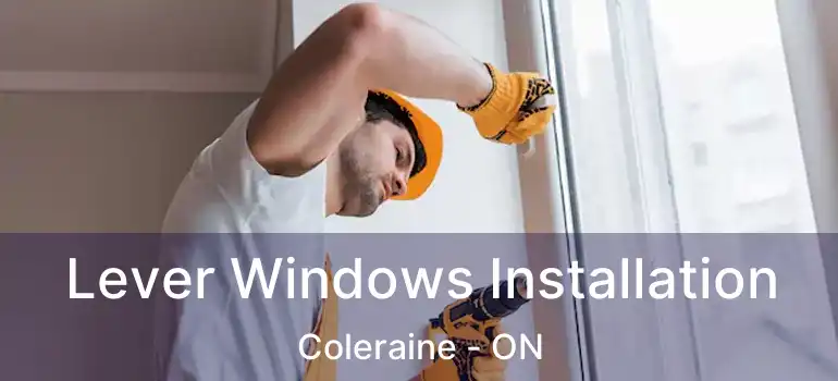  Lever Windows Installation Coleraine - ON