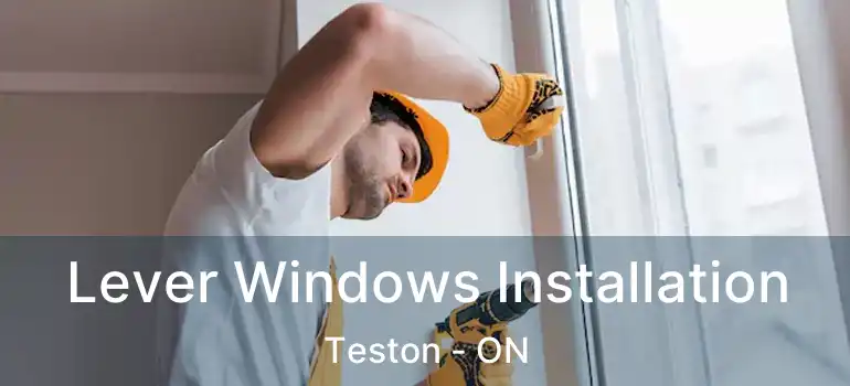  Lever Windows Installation Teston - ON