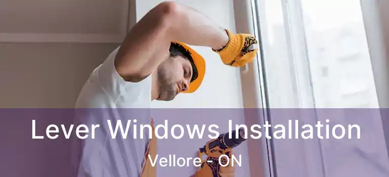  Lever Windows Installation Vellore - ON