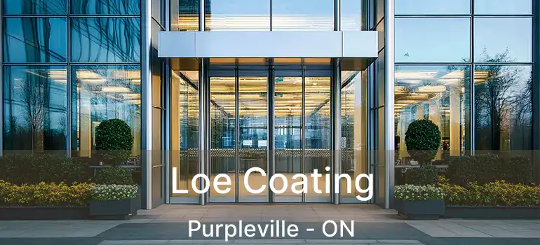  Loe Coating Purpleville - ON