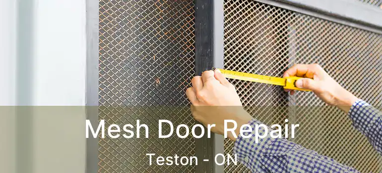  Mesh Door Repair Teston - ON