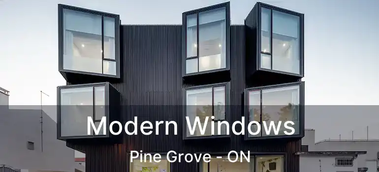  Modern Windows Pine Grove - ON