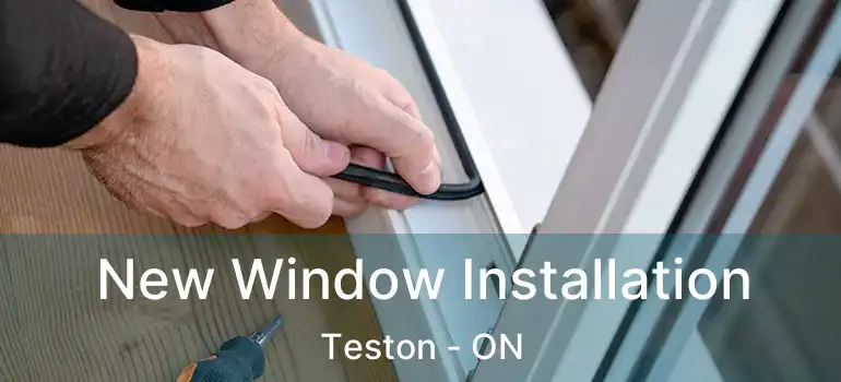  New Window Installation Teston - ON
