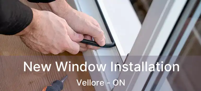  New Window Installation Vellore - ON