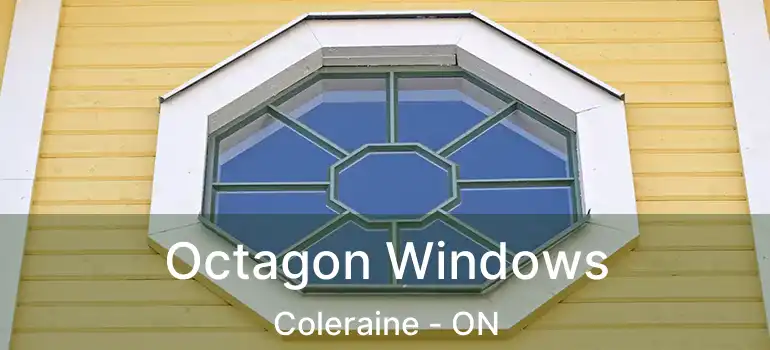  Octagon Windows Coleraine - ON