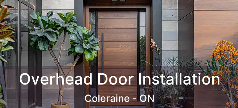  Overhead Door Installation Coleraine - ON