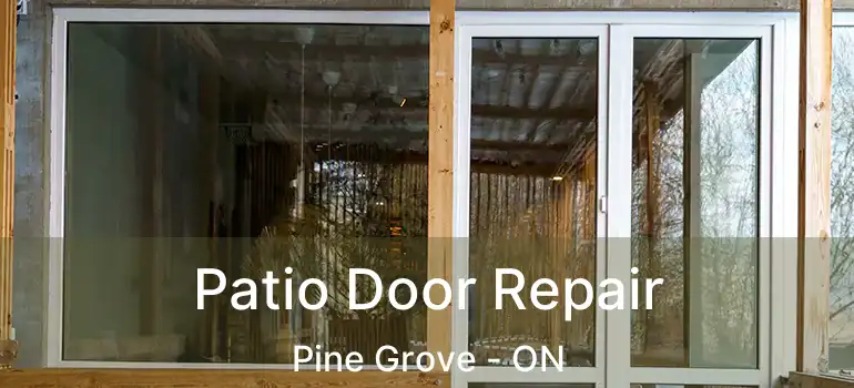 Patio Door Repair Pine Grove - ON