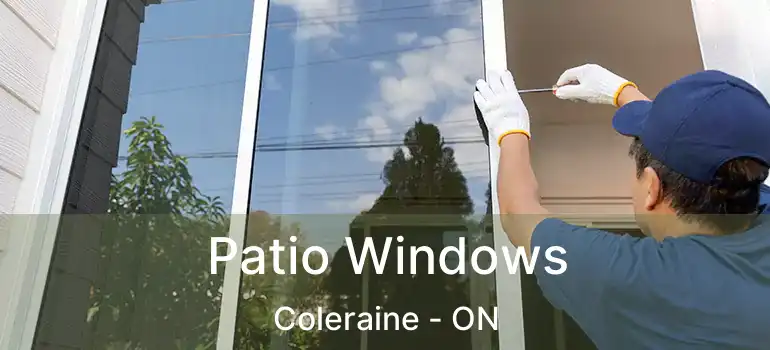  Patio Windows Coleraine - ON