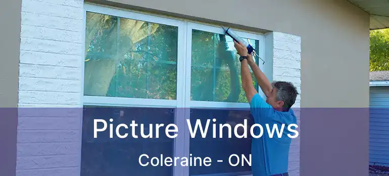  Picture Windows Coleraine - ON