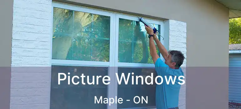  Picture Windows Maple - ON