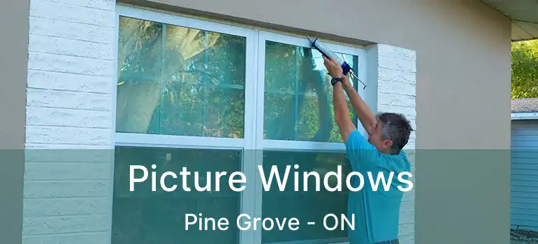  Picture Windows Pine Grove - ON