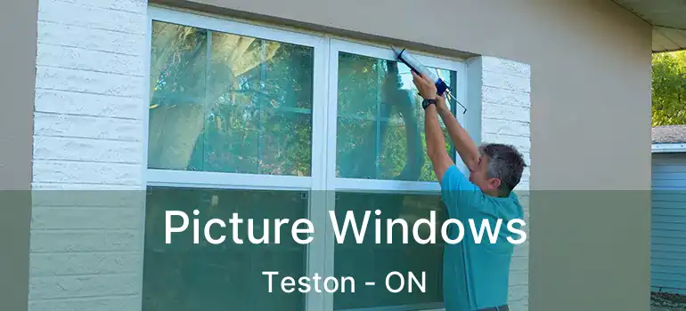 Picture Windows Teston - ON
