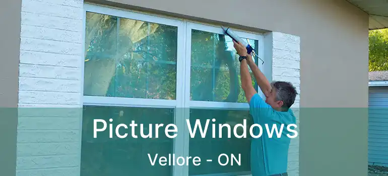  Picture Windows Vellore - ON