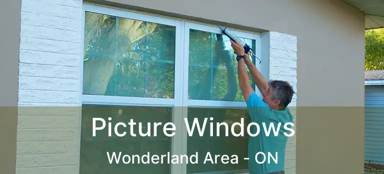  Picture Windows Wonderland Area - ON
