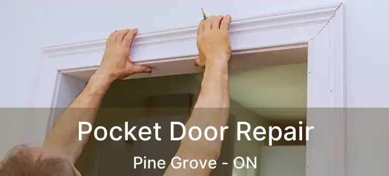  Pocket Door Repair Pine Grove - ON