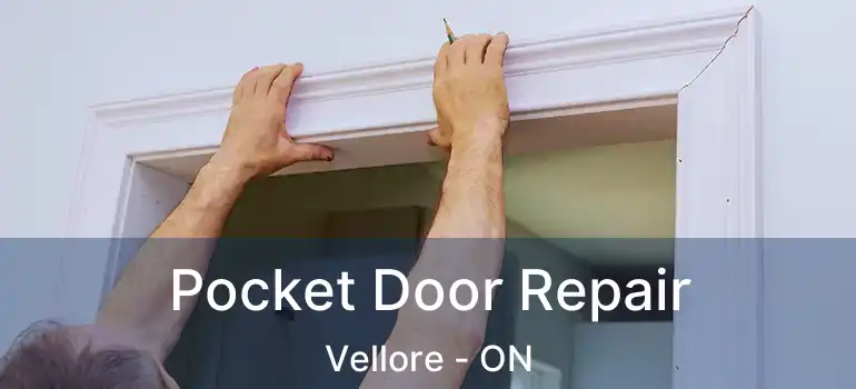  Pocket Door Repair Vellore - ON