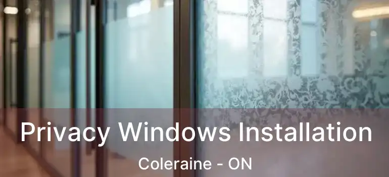  Privacy Windows Installation Coleraine - ON