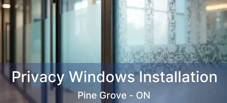  Privacy Windows Installation Pine Grove - ON