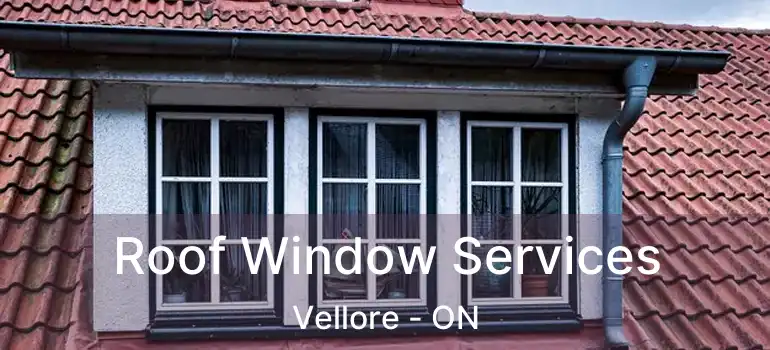  Roof Window Services Vellore - ON