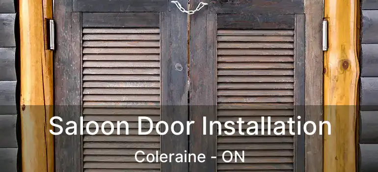  Saloon Door Installation Coleraine - ON