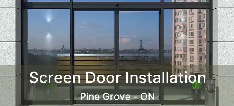  Screen Door Installation Pine Grove - ON