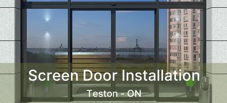  Screen Door Installation Teston - ON