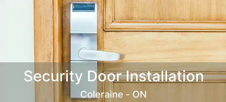  Security Door Installation Coleraine - ON