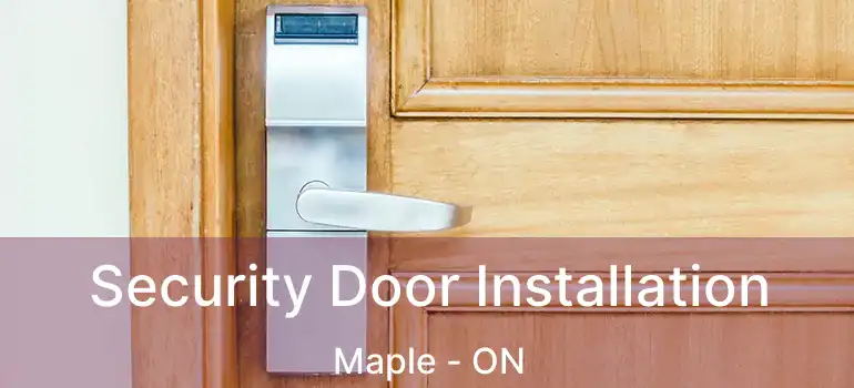  Security Door Installation Maple - ON